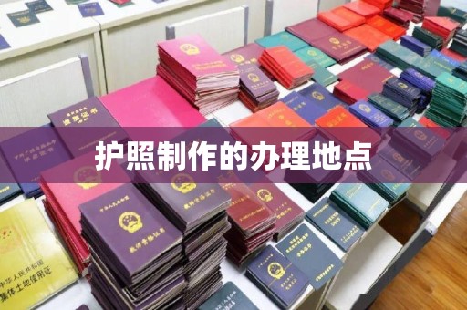 雷波护照制作的办理地点